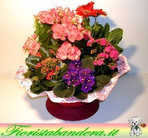 Cesto piante fiorite