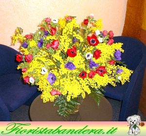 Mimosa e Anemoni.