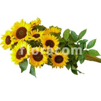 Composizione floreale di girasoli finti SILKE in vaso decorativo, giallo,  20cm, Ø10cm