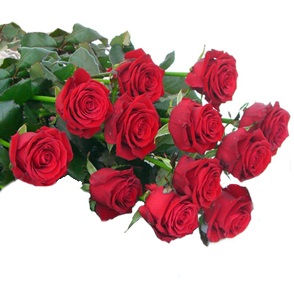 Mazzo di 12 rose rosse lunghe.