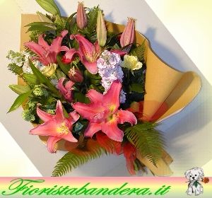 Fiori di primavera...