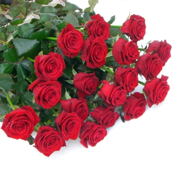 FIORE SINGOLO