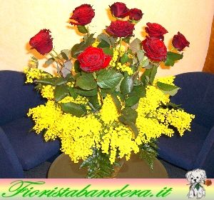Rose Rosse con Mimosa