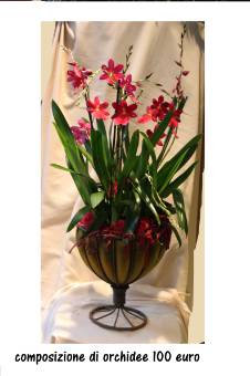 coppa di orchidee