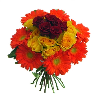Bouquet di gerbere e rose a strati