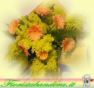 Gerbere e mimosa.