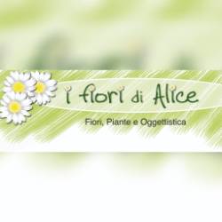 I fiori di Alice di Rita Coscarella