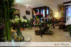 Foto 3D di Dematteis C. & C. s.n.c.