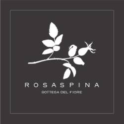 Rosaspina Bottega del fiore sas