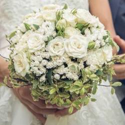 Foto Fiori & Co Srls