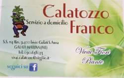 Foto Calatozzo Santo Francesco