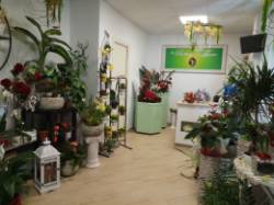 Foto La Bottega di Flora di Bojin G.