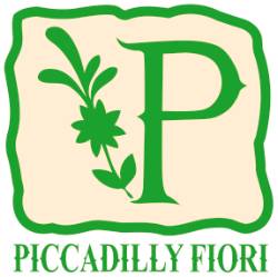Fioreria Piccadilly di Fabio Ridolfi & C.