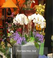 Foto Fiorissimo di Cassan Cinzia 