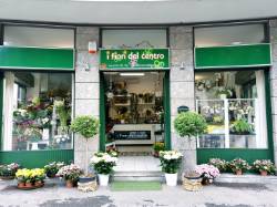 Foto I fiori del centro di Gianella Davide